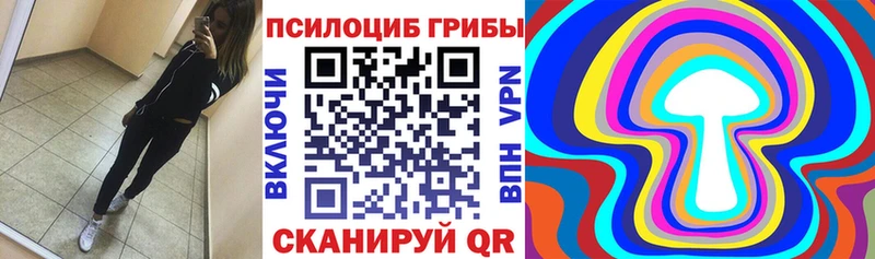 где найти наркотики omg сайт Псилоцибиновые грибы ЛСД Иноземцево